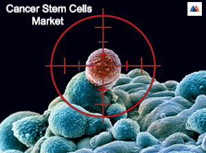Cancer Stem Cells Market .jpg